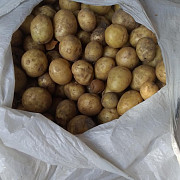картофель мелочь Первоуральск